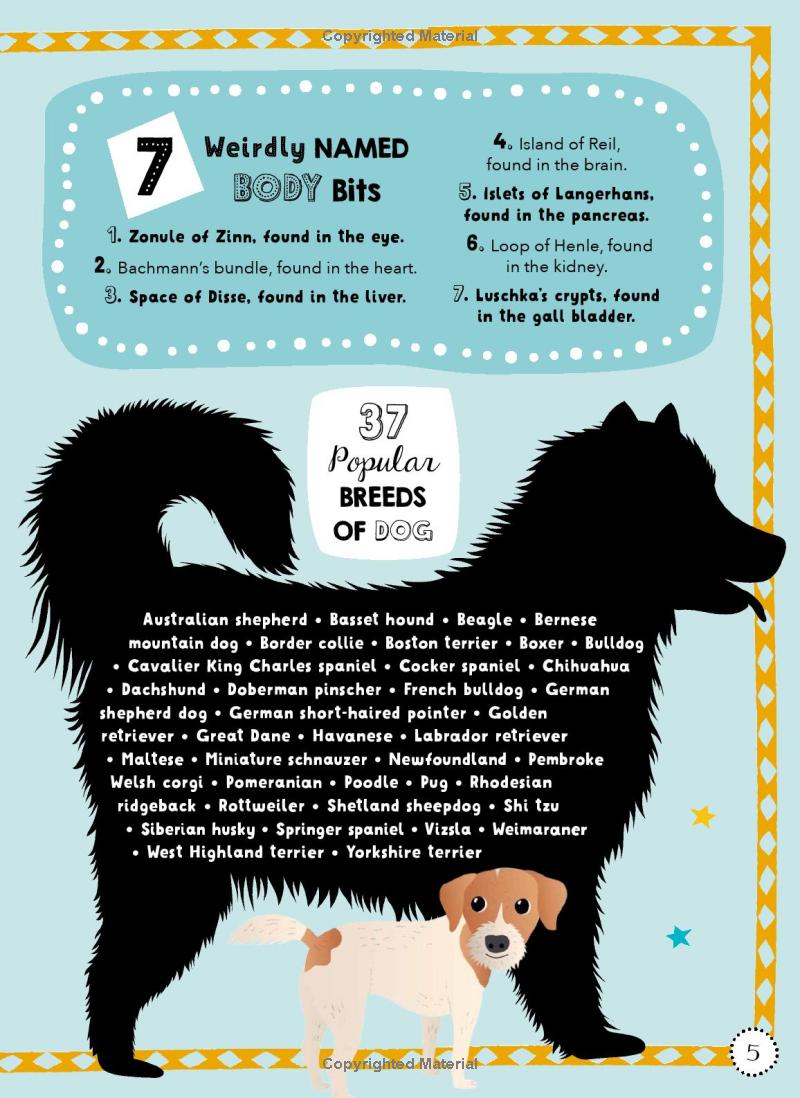 lists for curious kids: 263 fun, fascinating and fact-filled lists - Ảnh 12