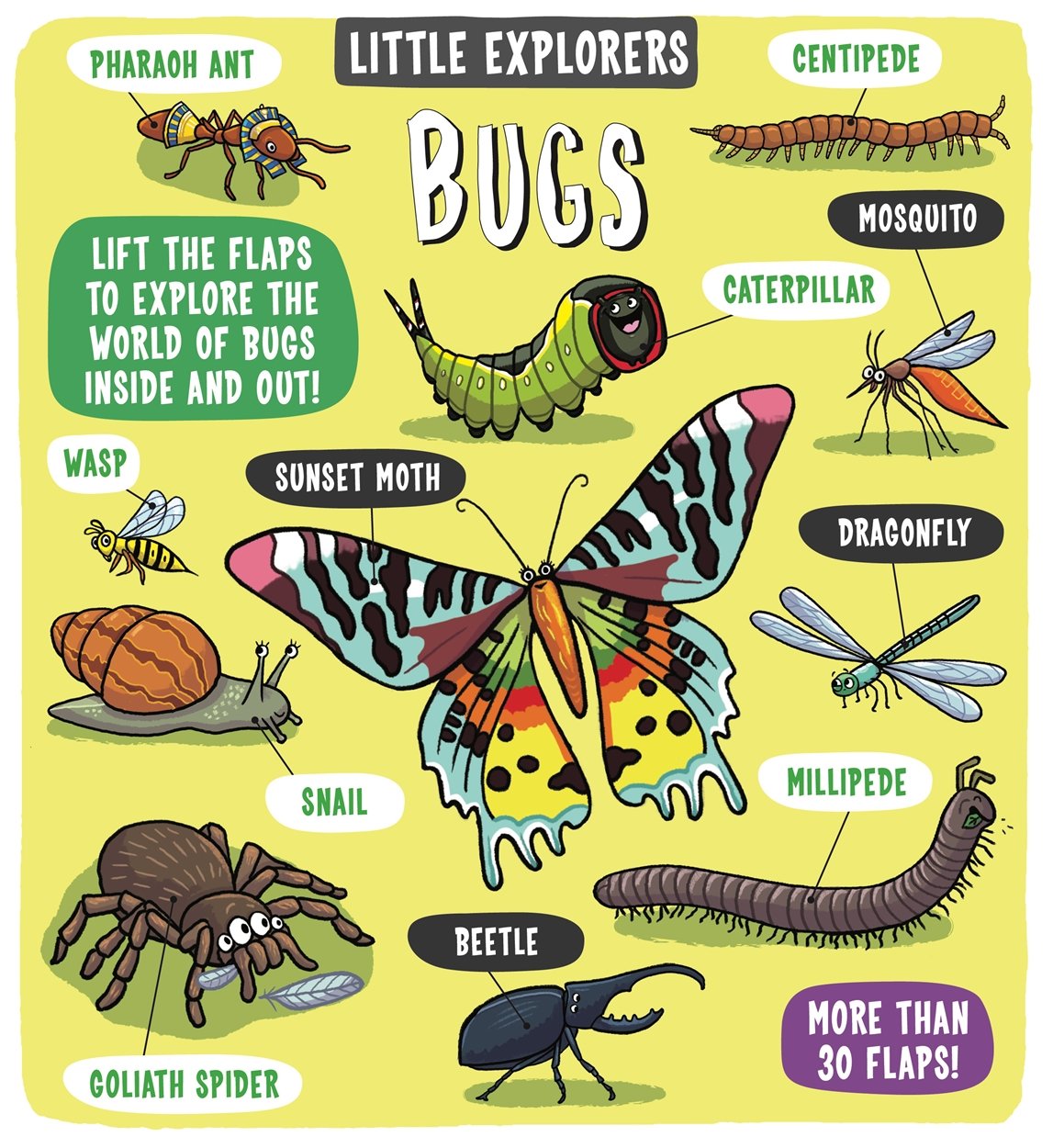 little explorers - bugs - Ảnh 2