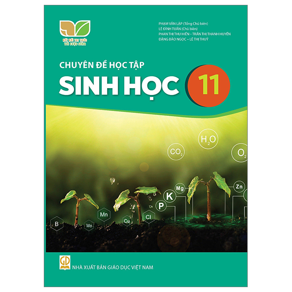 Mĩ Thuật 11 - Kiến Trúc (Kết Nối) (Chuẩn) - Ảnh 42