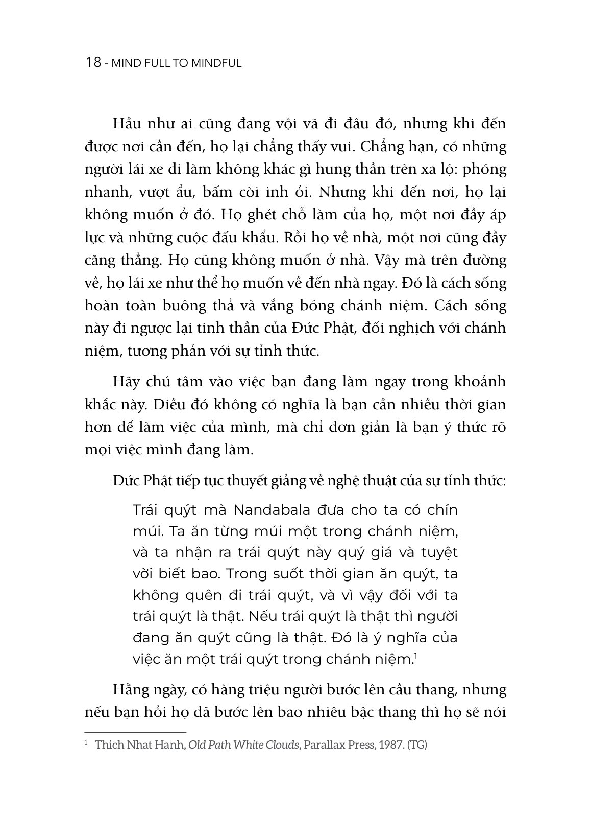 Mind Full To Mindful - Thiền Giữa Đời Thường - Ảnh 16
