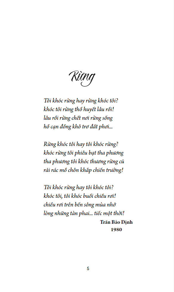 mùa hoa nắng - Ảnh 3