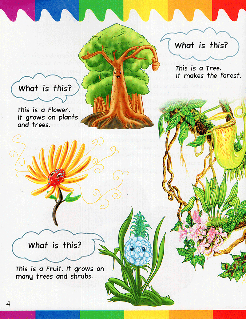 my first questions & answers - rainforest - Ảnh 3