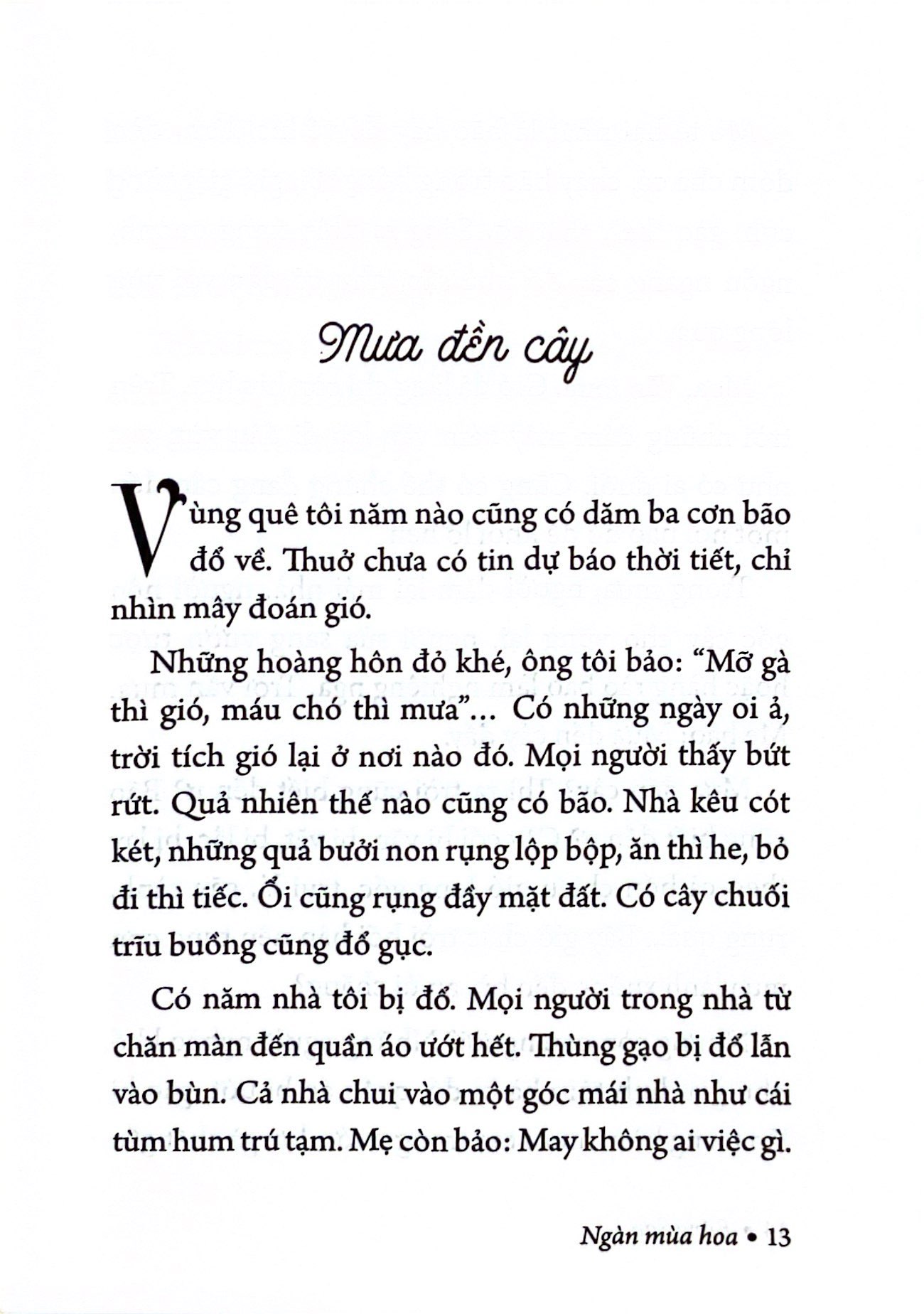 ngàn mùa hoa - nét đẹp quê hương - Ảnh 6