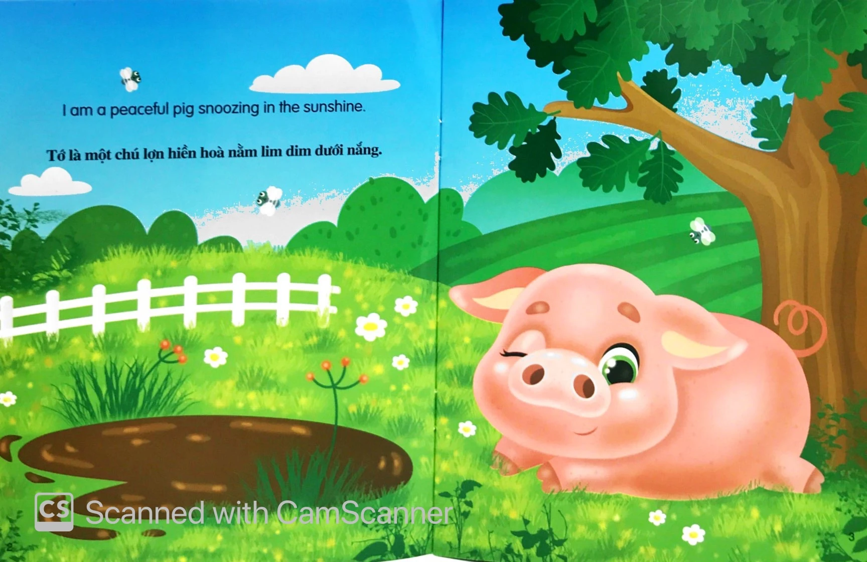 những câu chuyện về thế giới động vật - tớ là một chú lợn - i am a pig (song ngữ anh-việt) - Ảnh 2