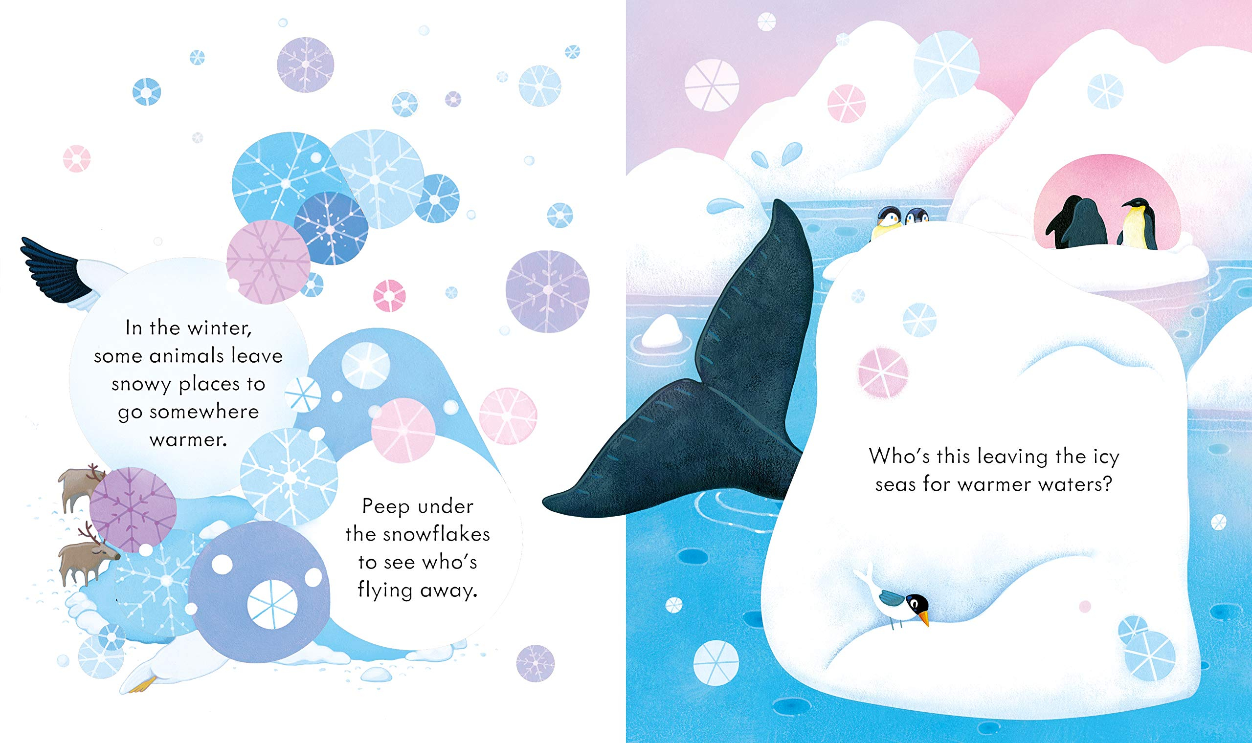 peep inside snowy places - Ảnh 5