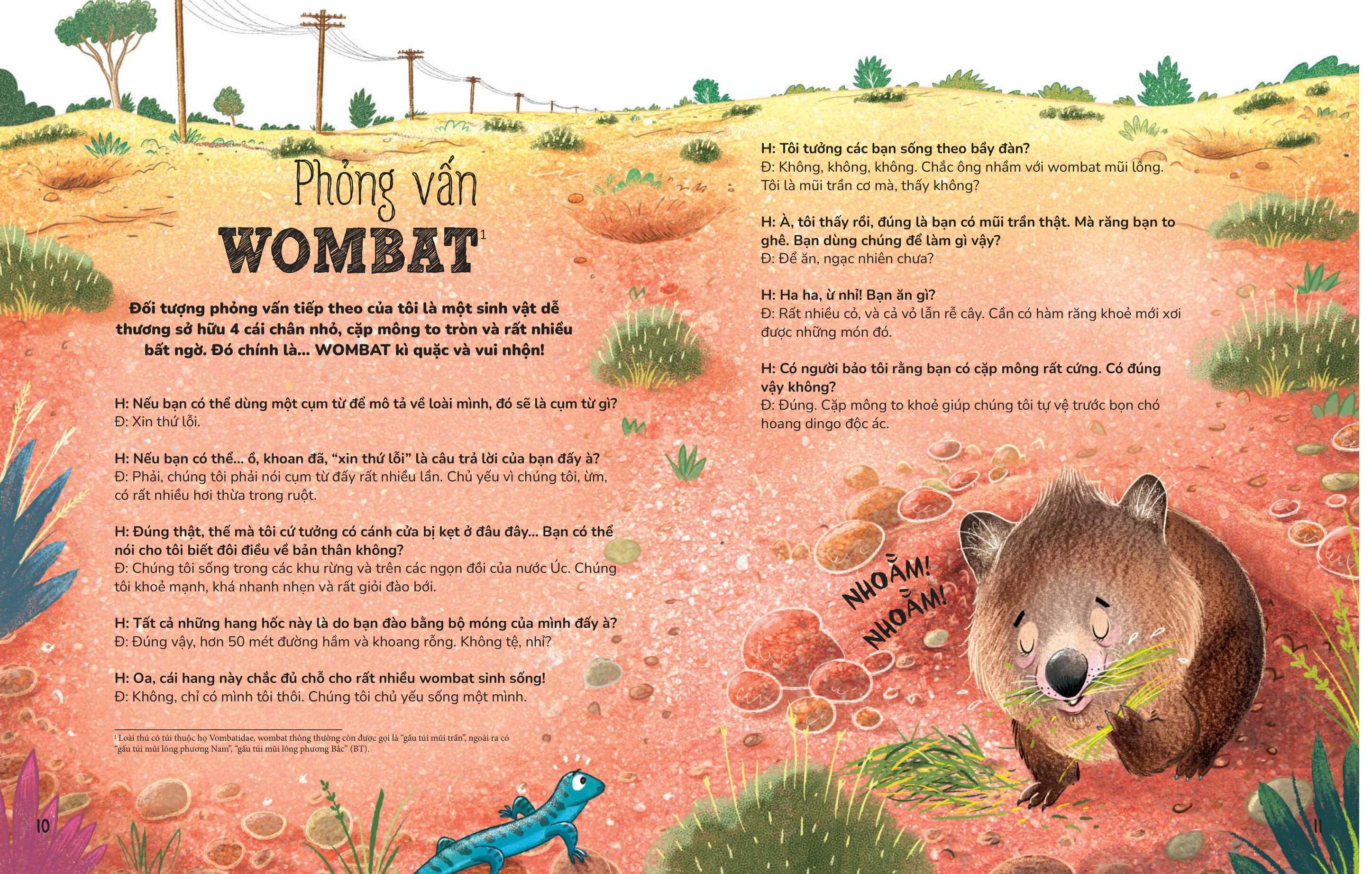 Phỏng Vấn Hổ Kangaroo Và Các Loài Thú Có Túi Khác - Ảnh 11