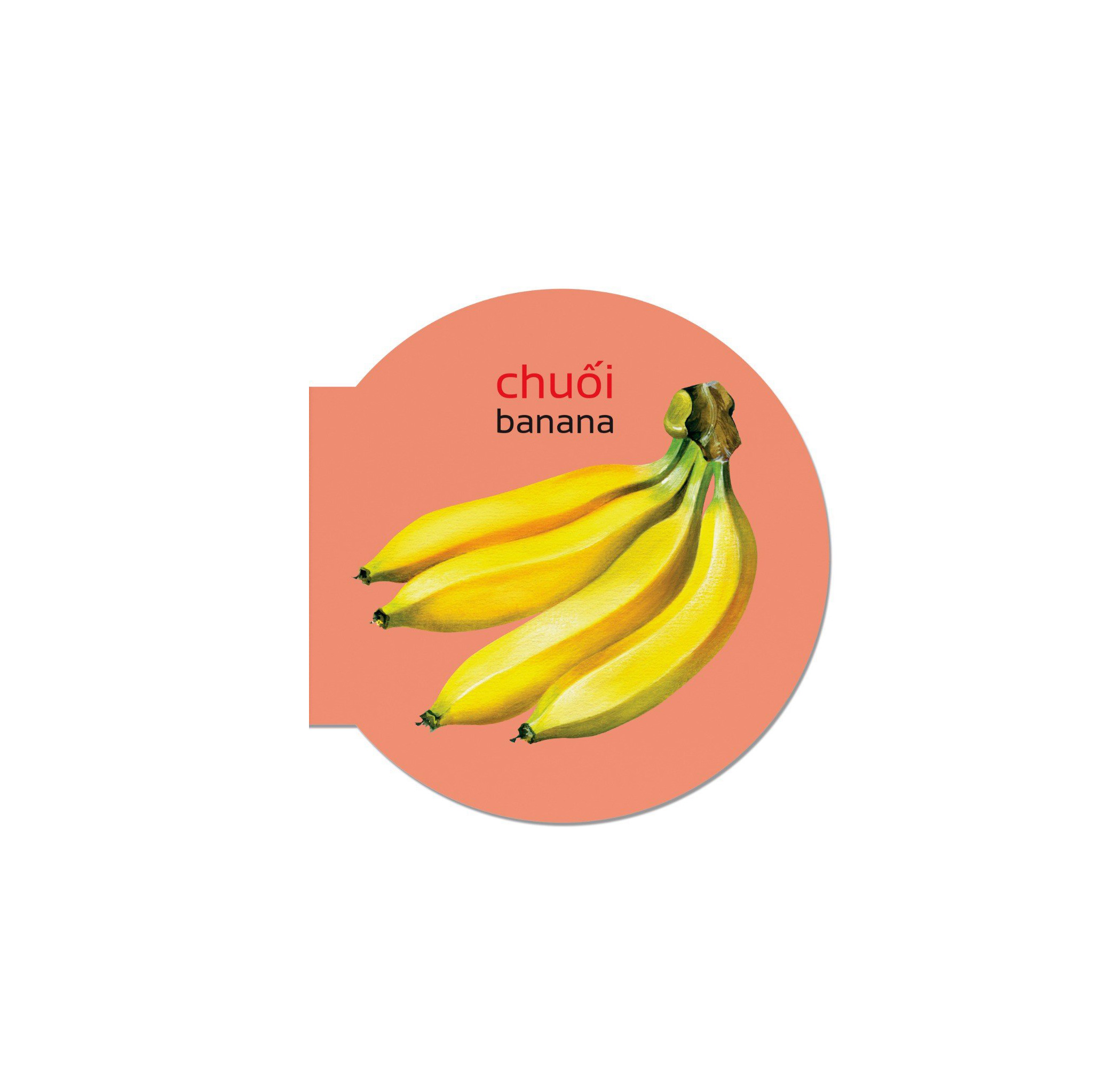 picture dictionary - từ điển bằng hình - fruits - các loại trái cây - bìa cứng (tái bản 2023) - Ảnh 4