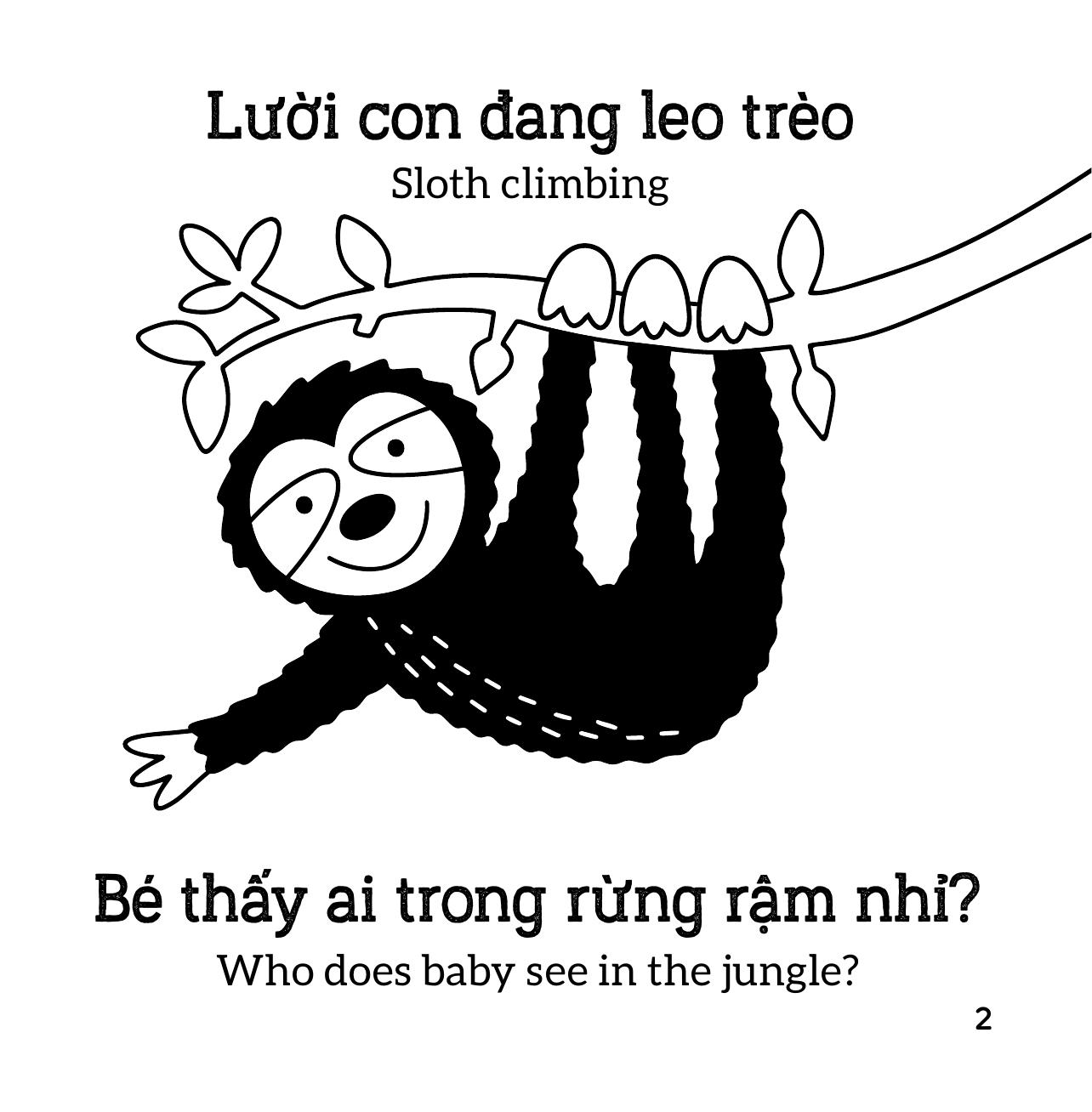 Sách Kích Thích Thị Giác - Em Bé Thấy Gì? - Động Vật - Ảnh 4