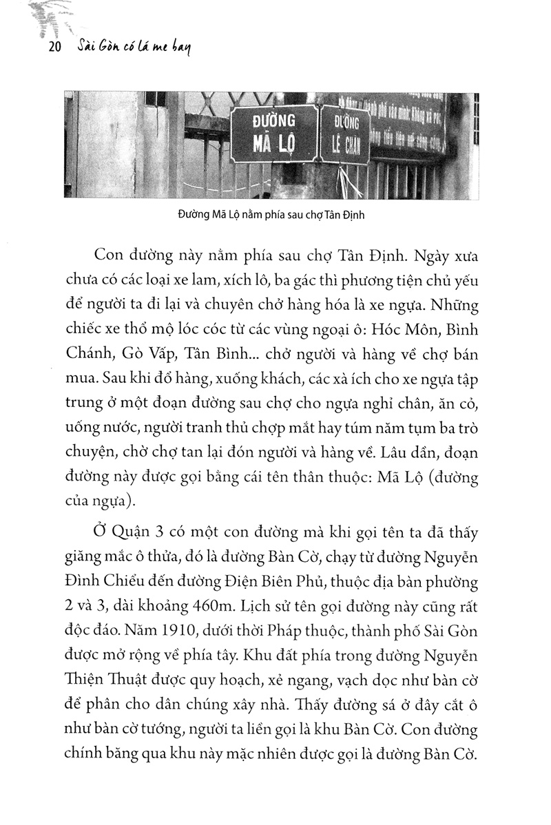 sài gòn có lá me bay - Ảnh 14