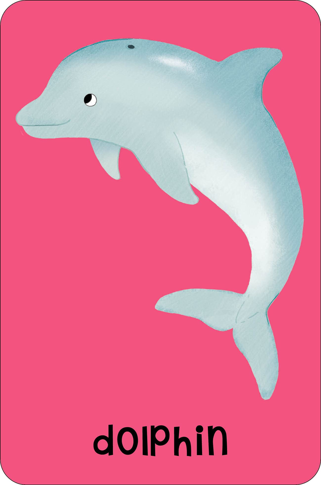 sea snap! - Ảnh 4