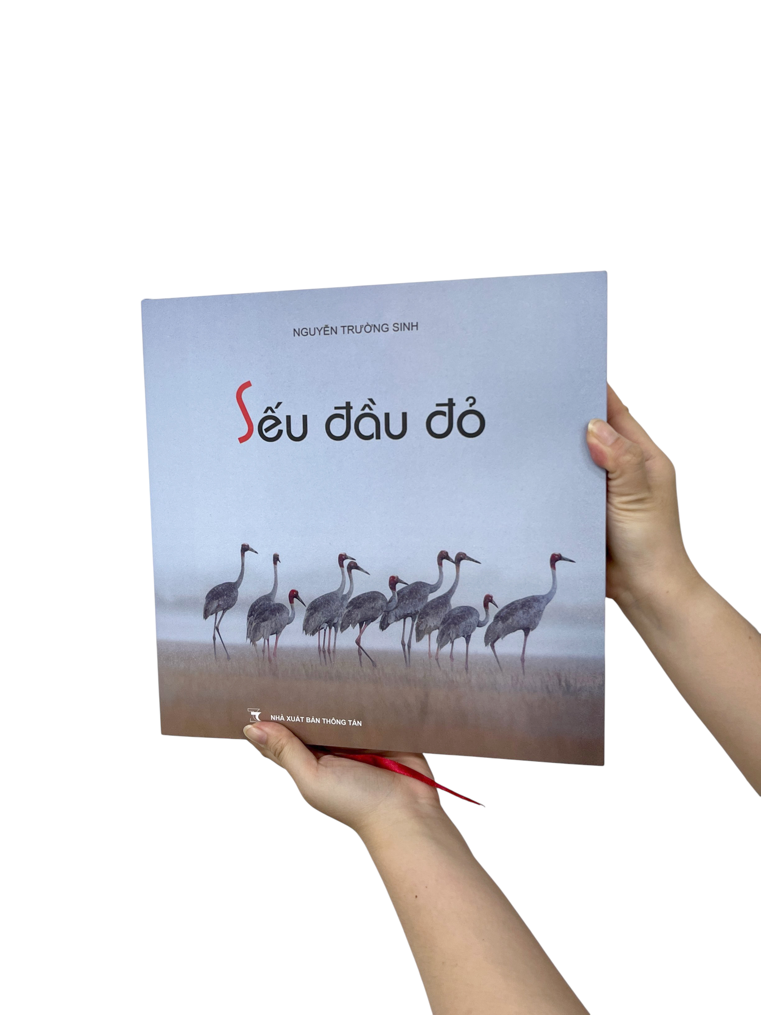 Sếu Đầu Đỏ - Bìa Cứng - Ảnh 9