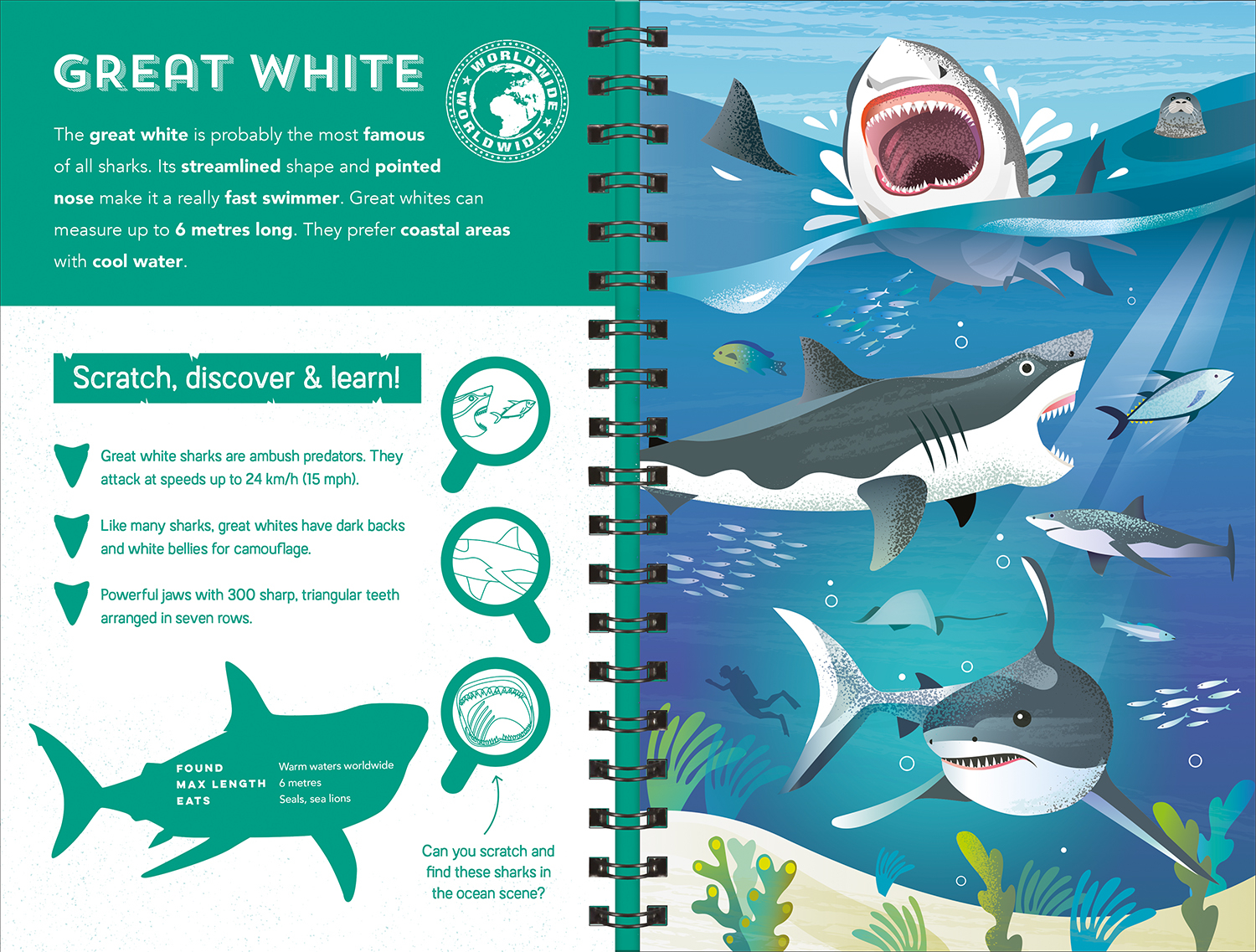 sharks (scratch discover & learn) - Ảnh 3