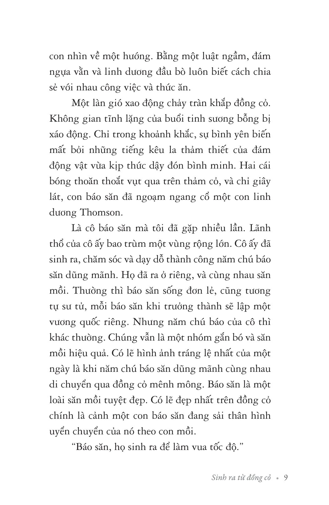 Sinh Ra Từ Đồng Cỏ - Ảnh 5