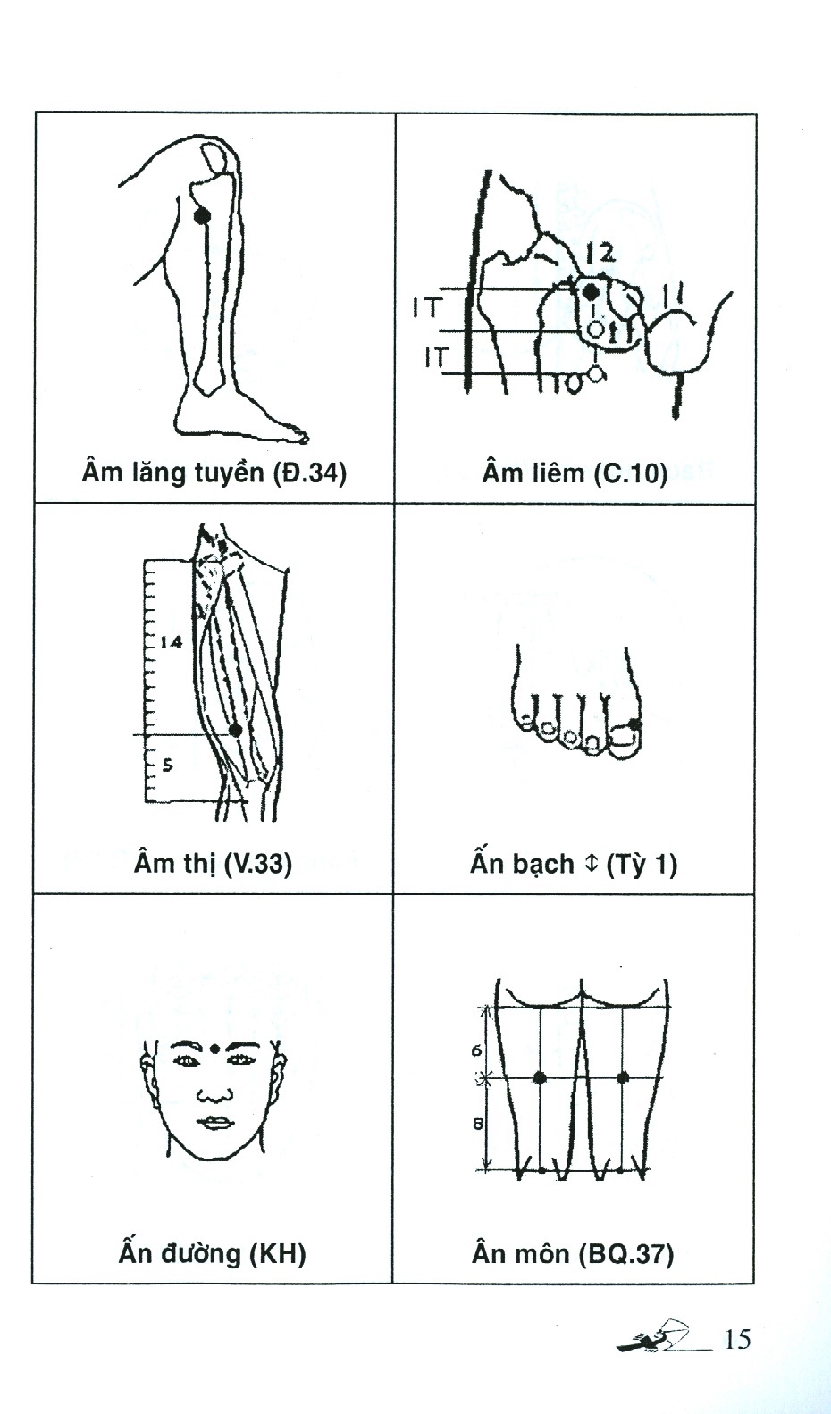 số tay tìm huyệt (tái bản 2019) - Ảnh 5