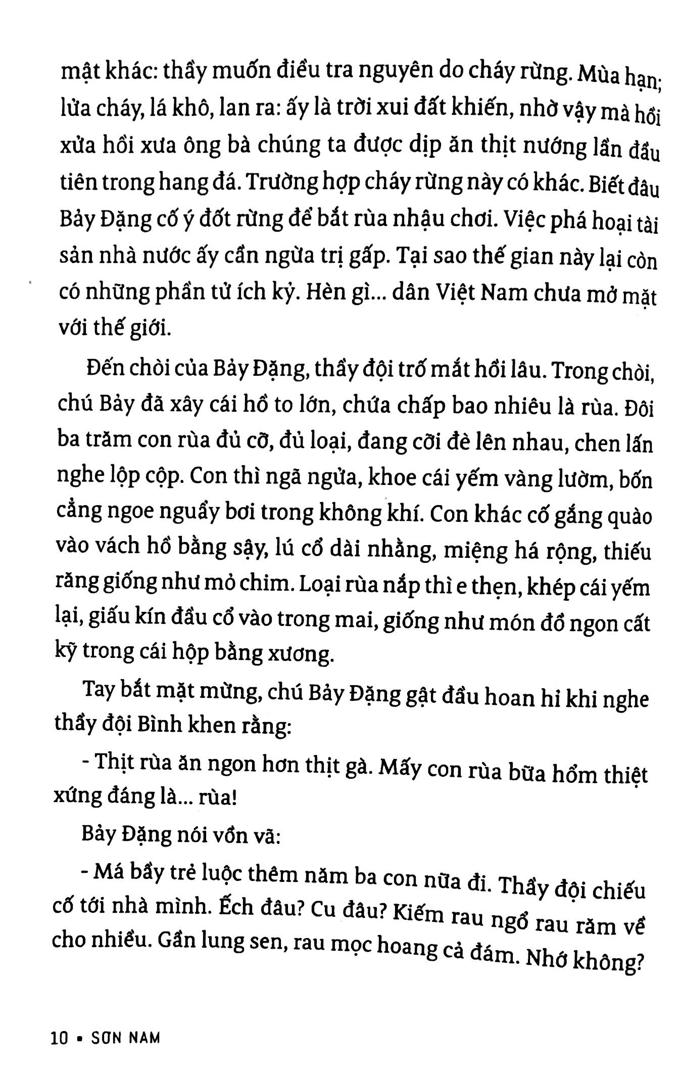 sơn nam - biển cỏ miền tây - mùa len trâu và các truyện khác - Ảnh 6