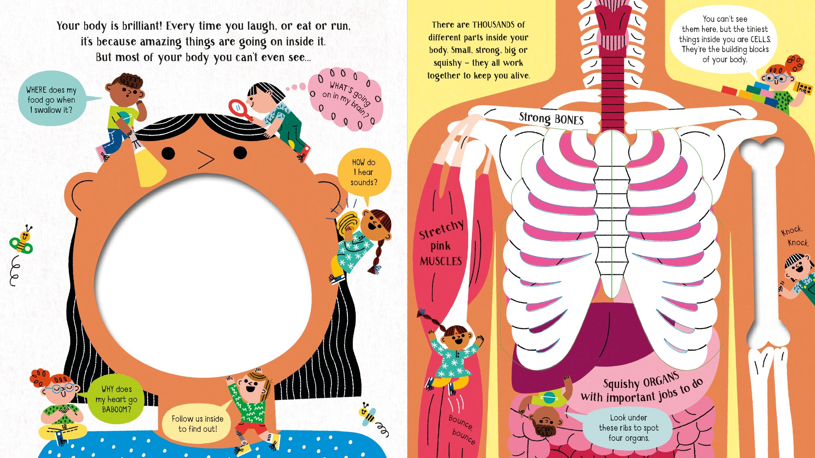 step inside science - your body - Ảnh 3