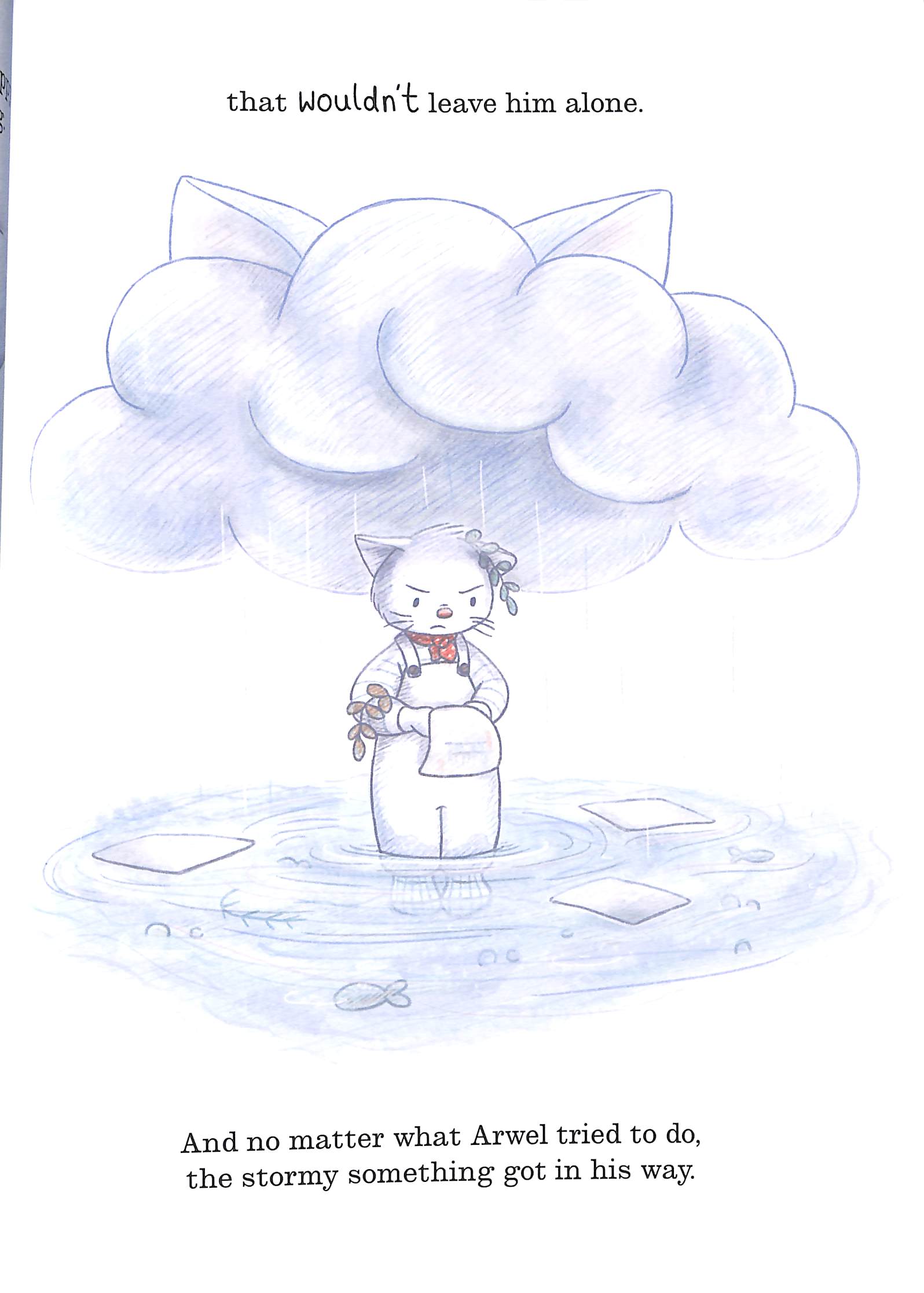 storm-cat - Ảnh 7