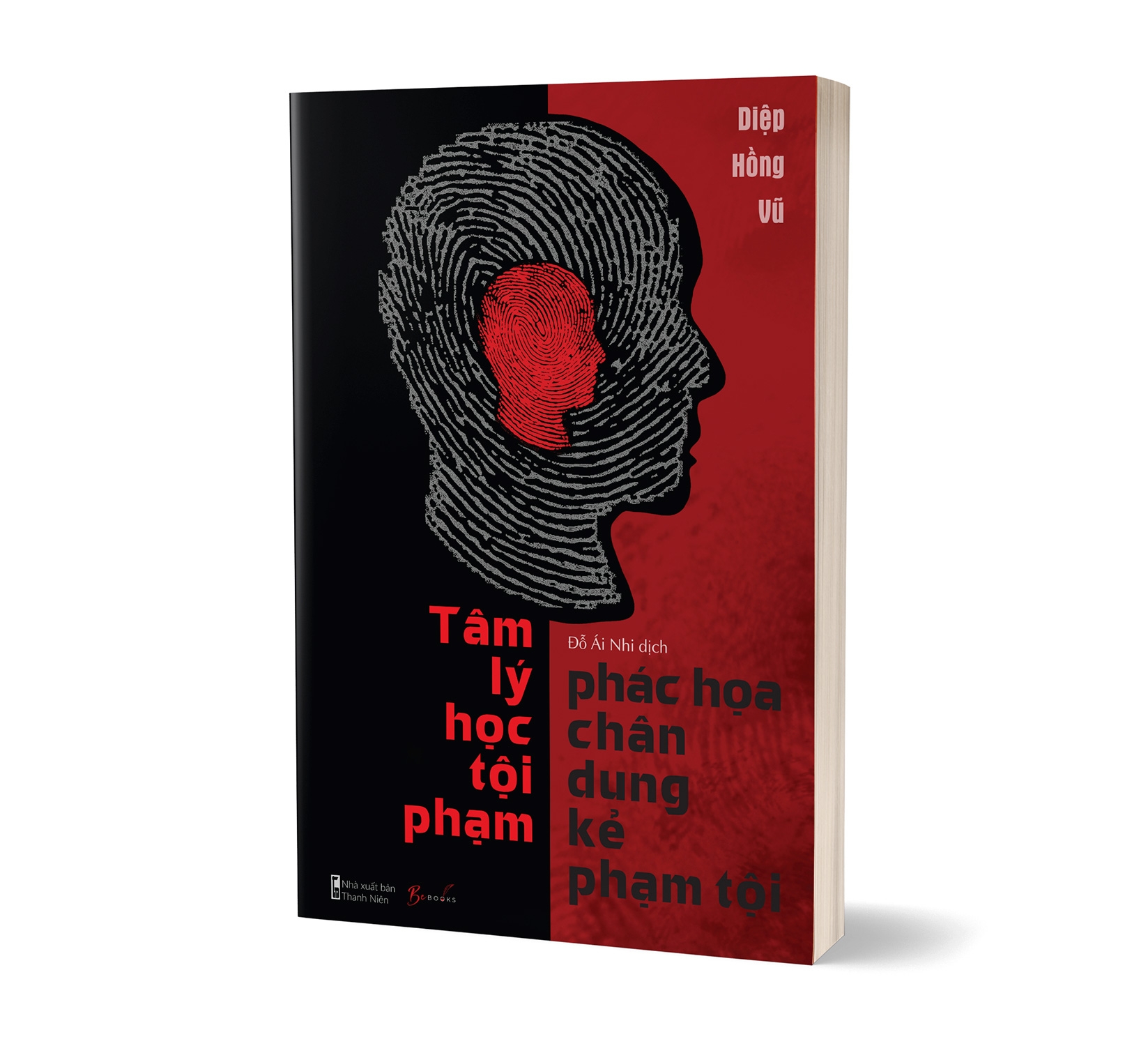 tâm lý học tội phạm - phác họa chân dung kẻ phạm tội - Ảnh 5