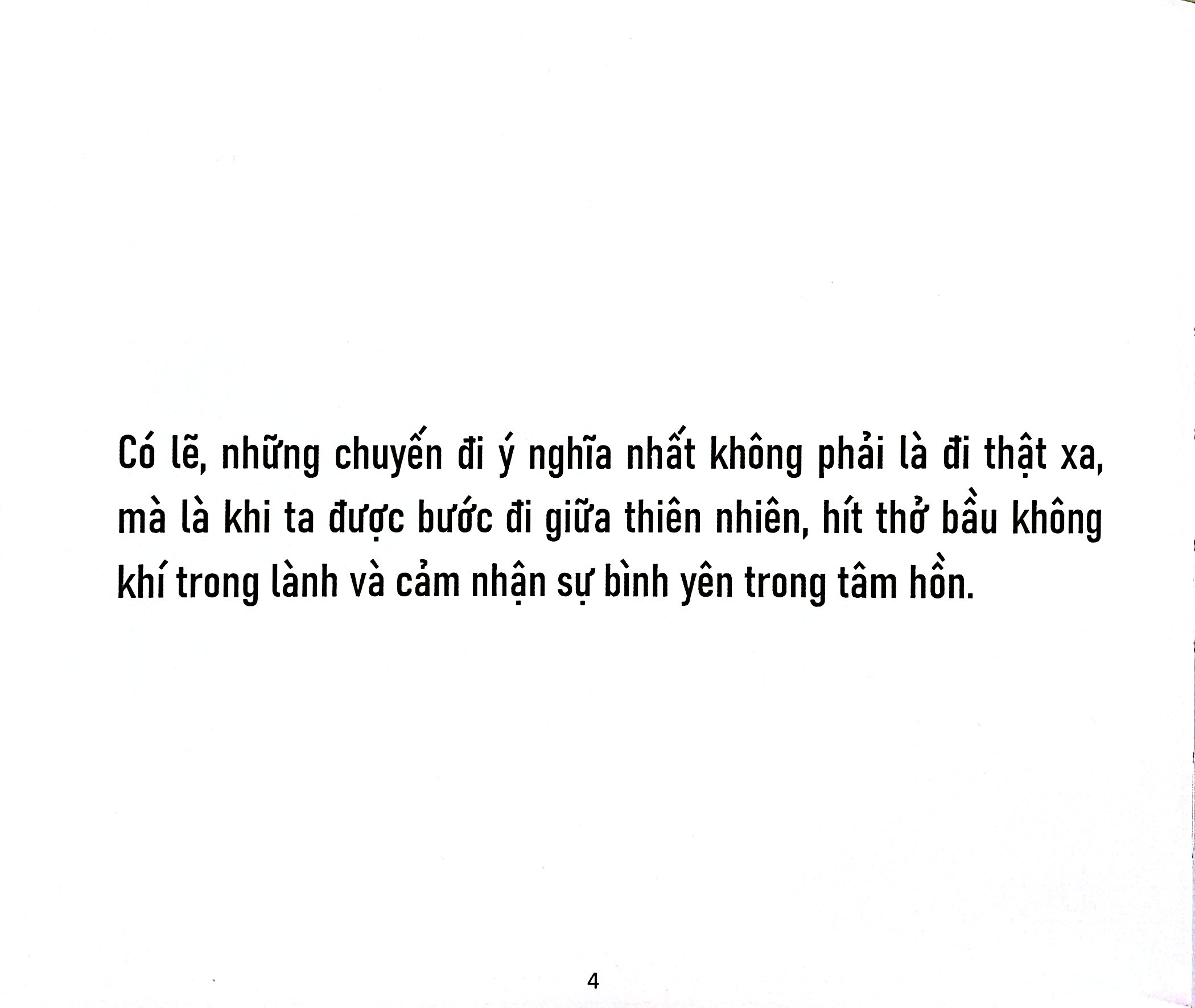 Thanh Xuân Đầy Nắng - Ảnh 5
