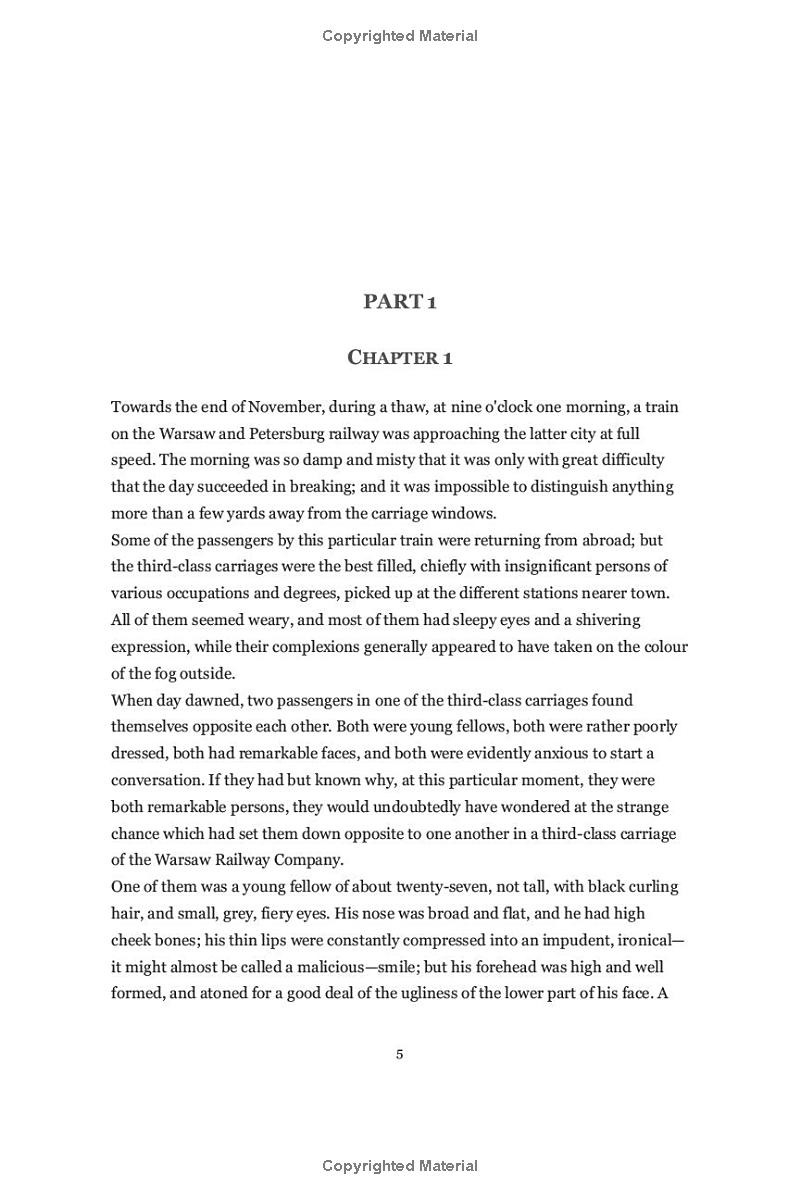 The Idiot - Ảnh 5