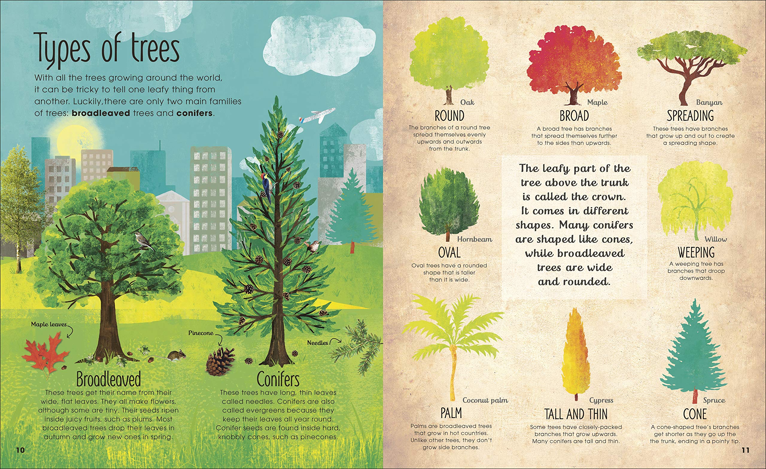 the magic and mystery of trees - Ảnh 3