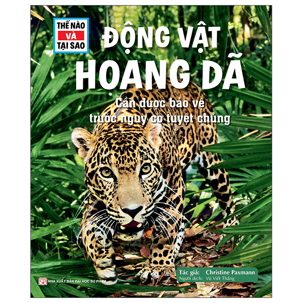 Thế Nào Và Tại Sao - Ai Cập Cổ Đại - Xác Ướp, Các Vị Thần Và Kim Tự Tháp - Ảnh 19