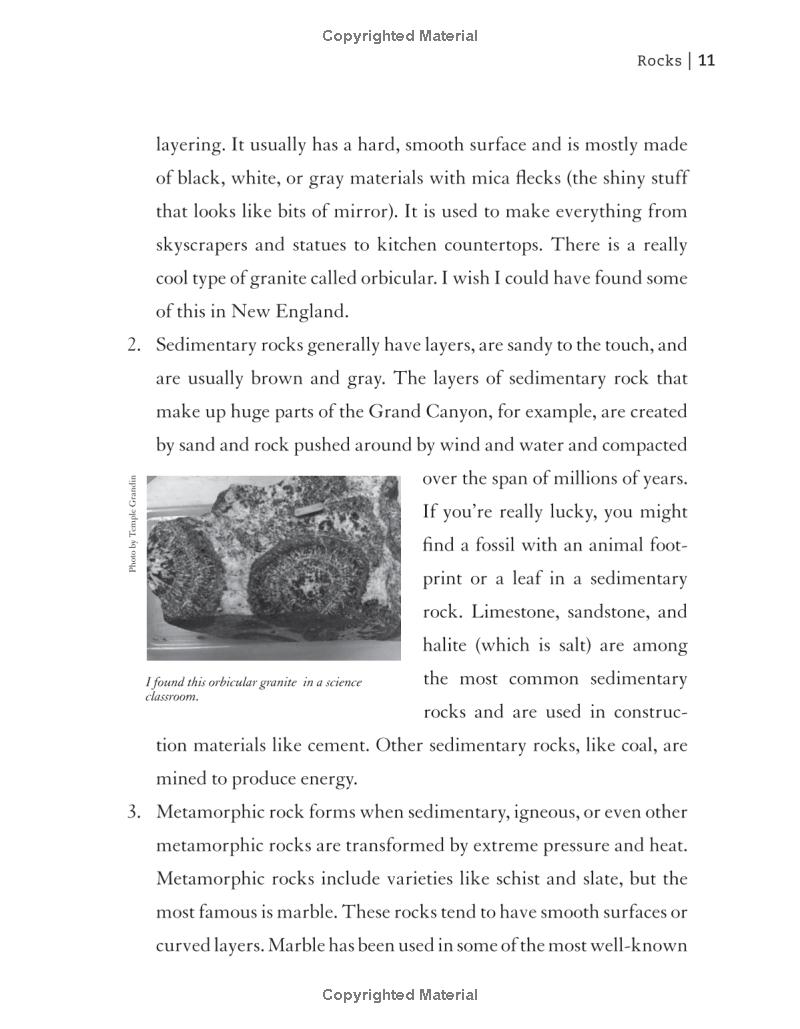 the outdoor scientist: the wonder of observing the natural world - Ảnh 12
