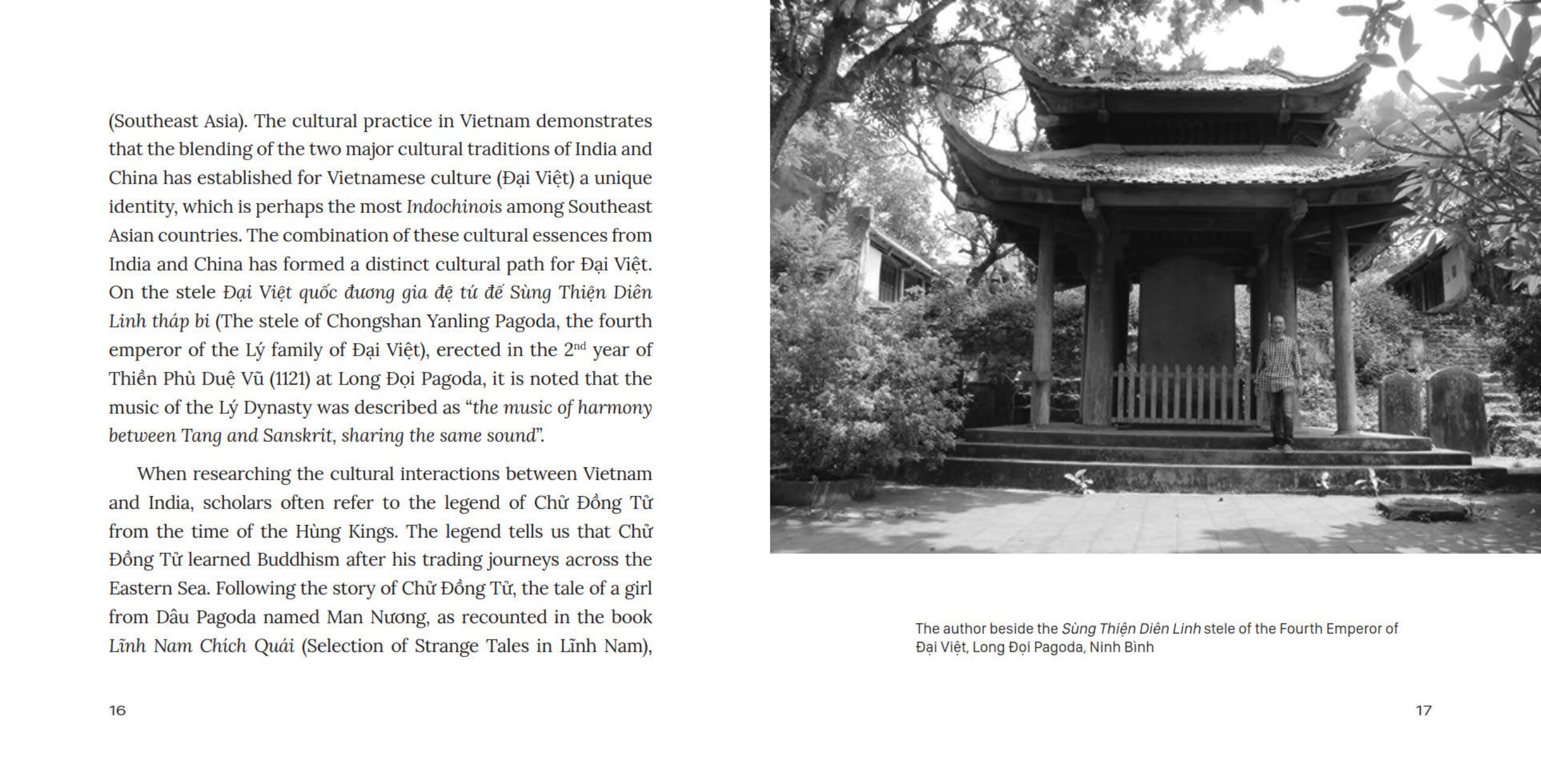 The Quintessence Of Vietnamese Nghê - Ảnh 9