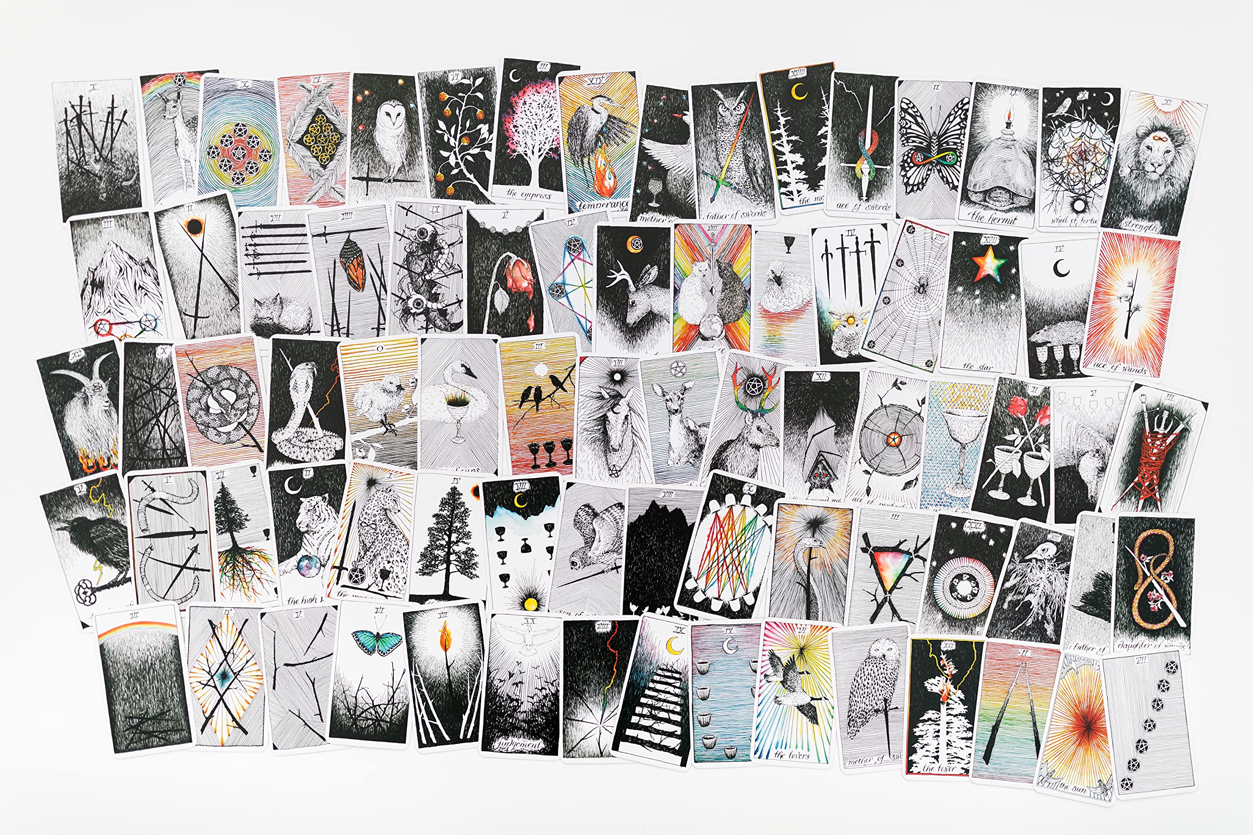 the wild unknown pocket tarot - Ảnh 4