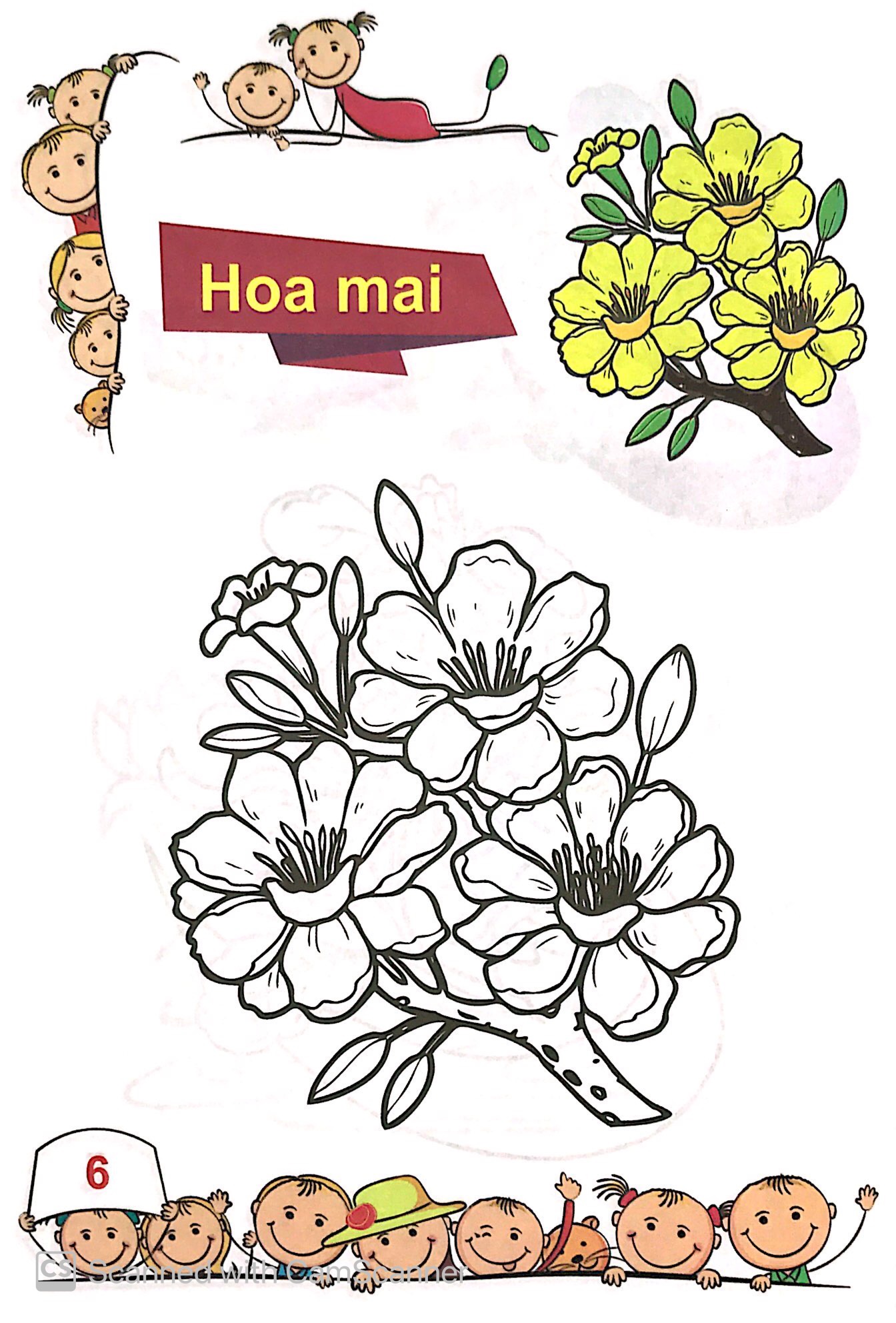 tô màu mẫu giáo - các loài hoa - Ảnh 7