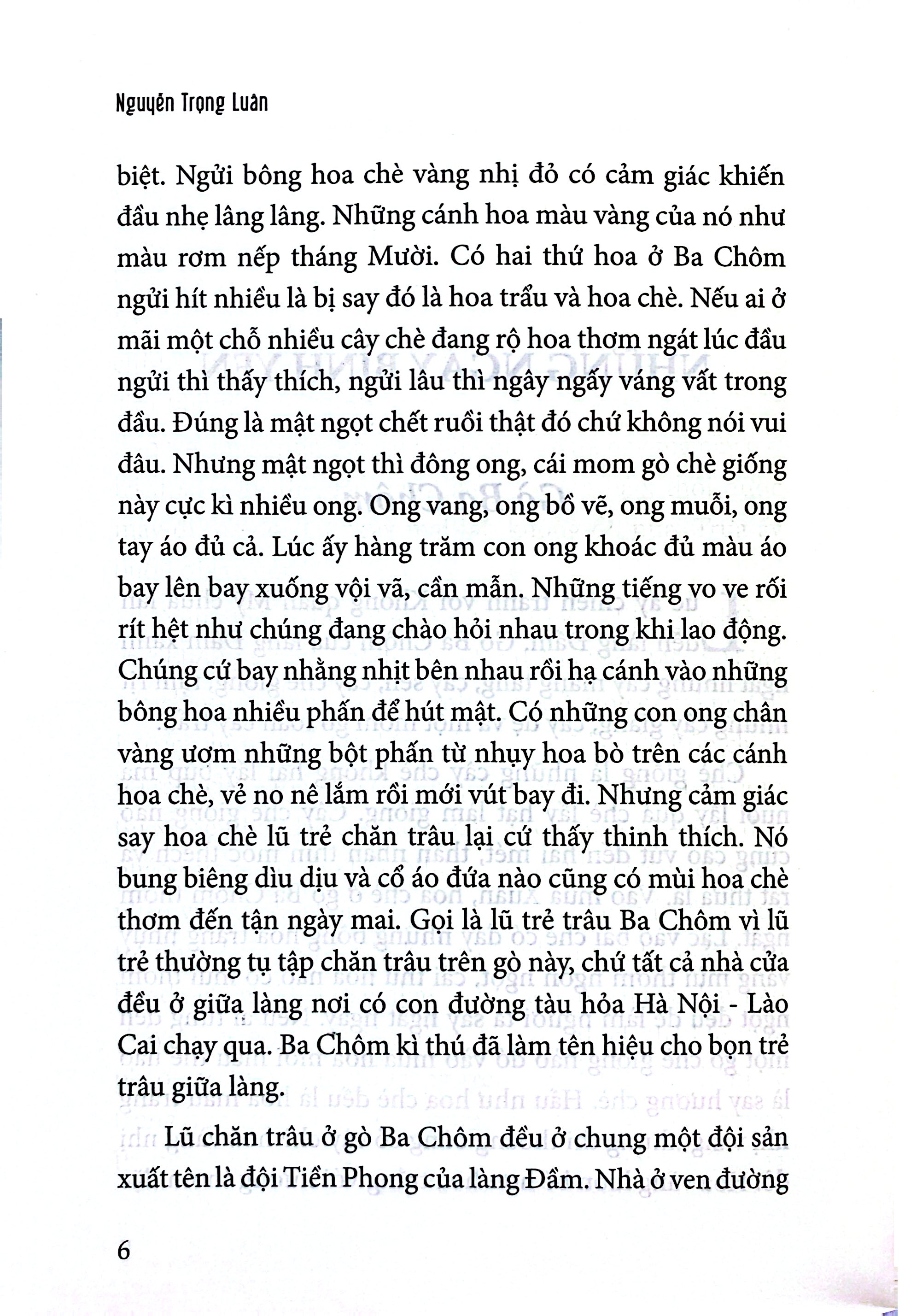 Trẻ Trâu Gò Ba Chôm - Ảnh 5