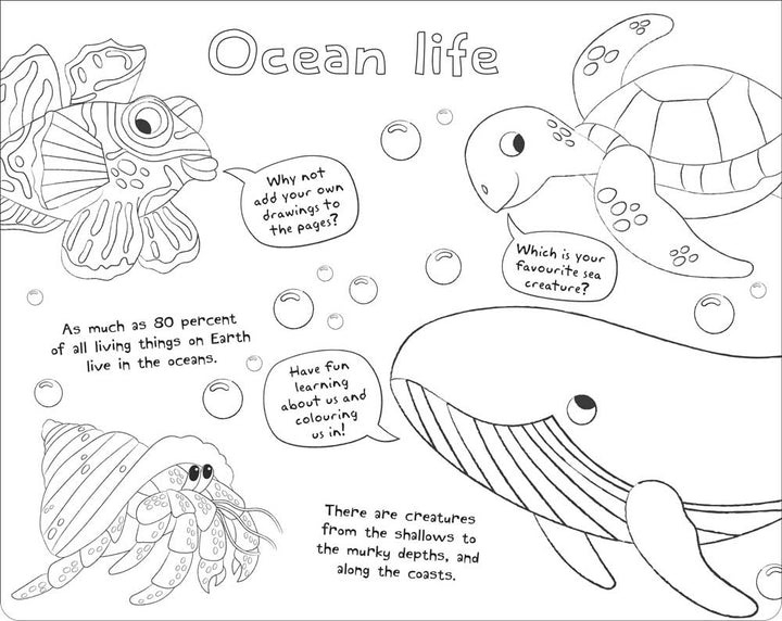 ultimate colour-in - under the sea - Ảnh 3