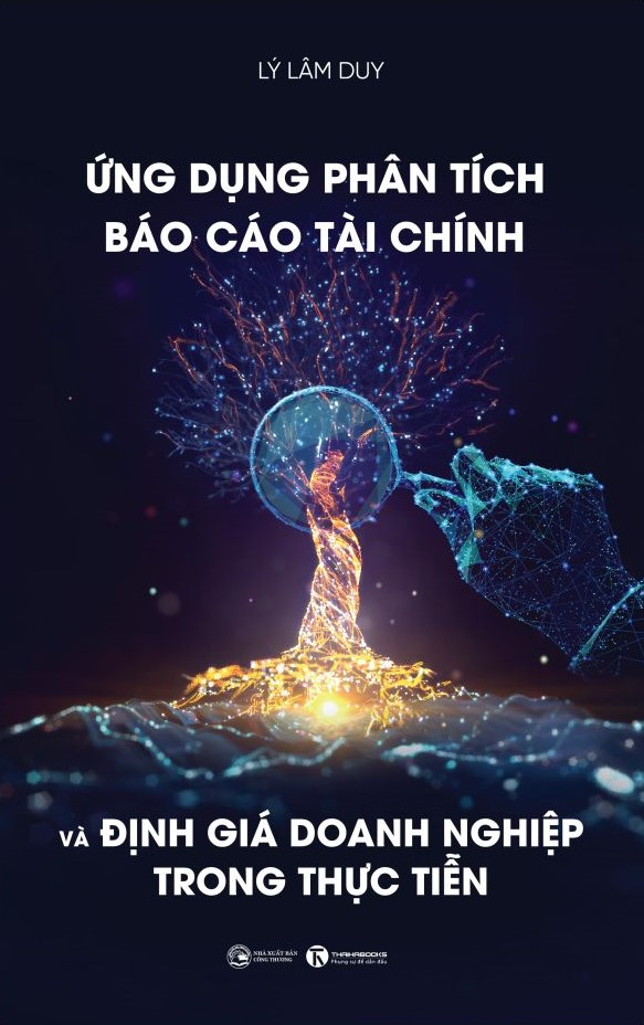 ứng dụng phân tích báo cáo tài chính và định giá doanh nghiệp trong thực tiễn - Ảnh 2