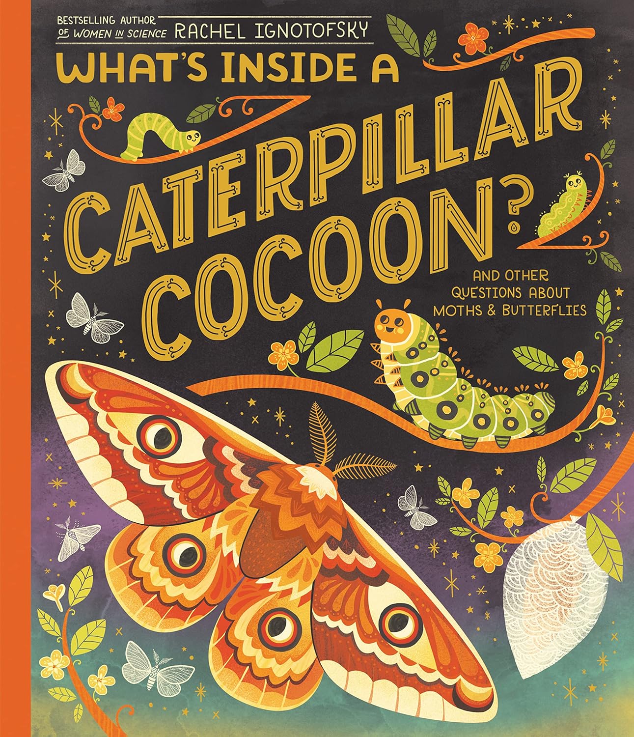 what's inside a caterpillar cocoon? - Ảnh 2