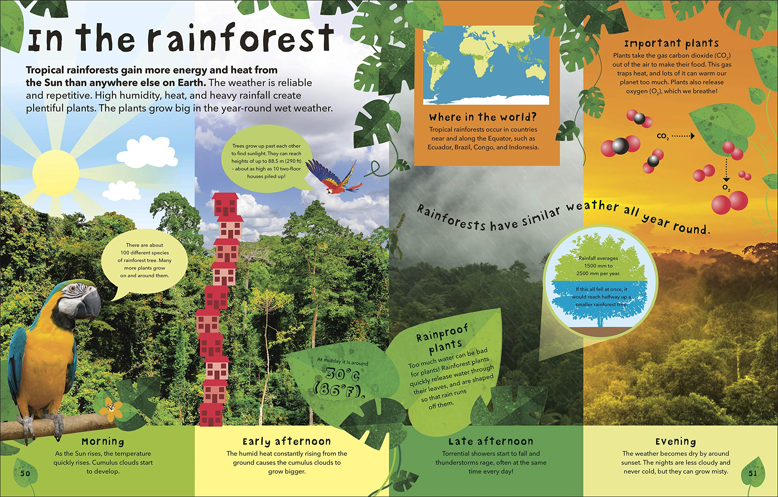what's the weather?: clouds, climate, and global warming - Ảnh 7