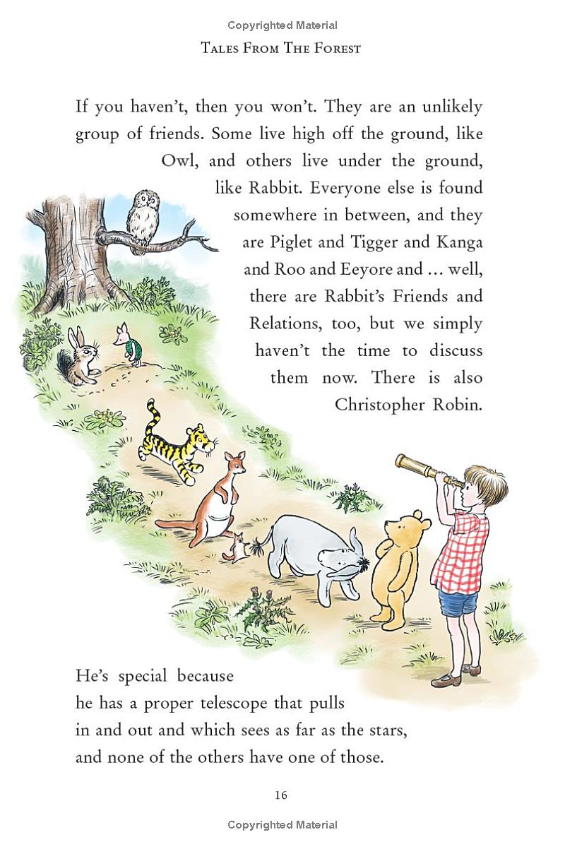 winnie-the-pooh - tales from the forest - Ảnh 15