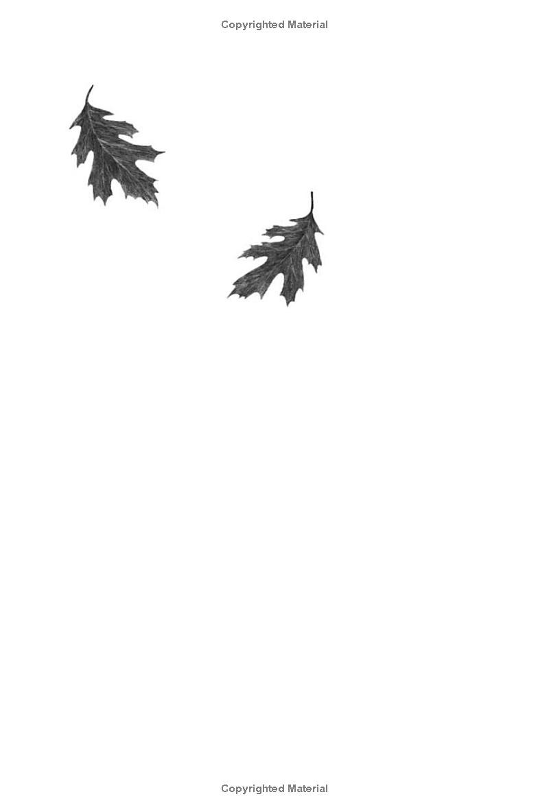 wishtree - Ảnh 8