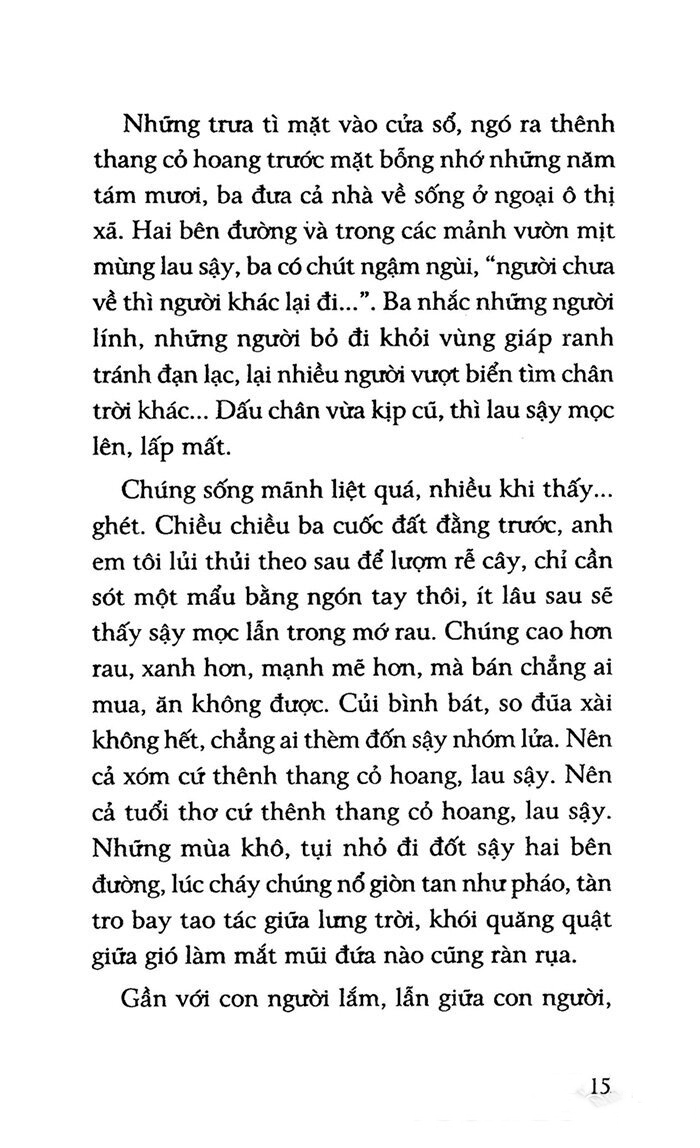 yêu người ngóng núi - Ảnh 14