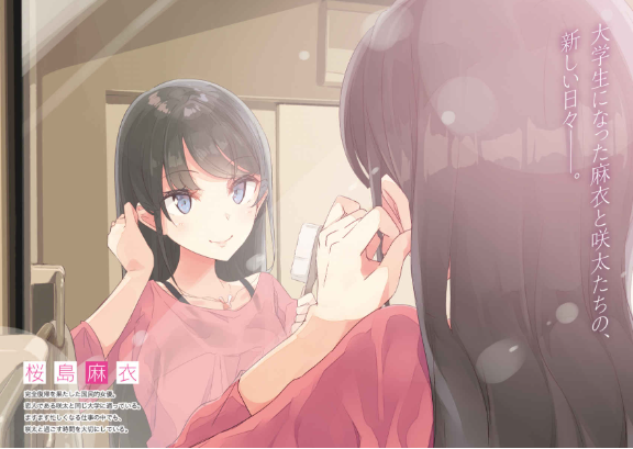 青春ブタ野郎は迷えるシンガーの夢を見ない - seishun buta yaro wa mayoeru singer no yume wo minai (light novel) - Ảnh 3